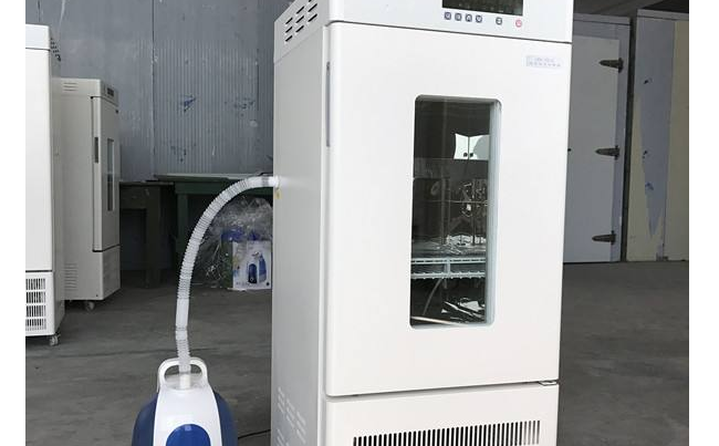 恒温恒湿培养箱